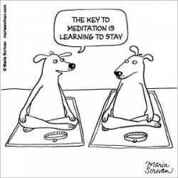The Key To Meditation Is Learning To Stay - Sticker