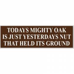 Todays Mighty Oak Is Yesterdays Nut That Held Its Ground - Bumper Sticker