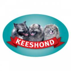Keeshond - Oval Magnet