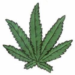 Green Pot Leaf - Embroidered Iron-On Patch