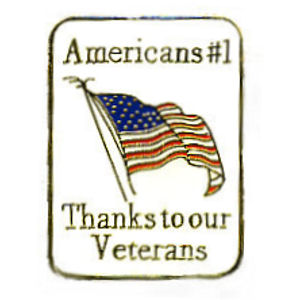 Thanks Veterans - Pins