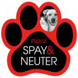 Spay & Neuter - Red Paw Magnet