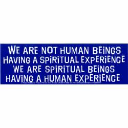 We Are Spiritual Beings Having A Human Experience - Vinyl Sticker