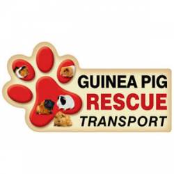 Guinea Pig Rescue Transport - Paw Transport Magnet