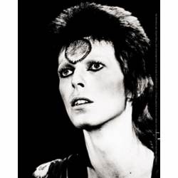 David Bowie Black And White - Vinyl Sticker