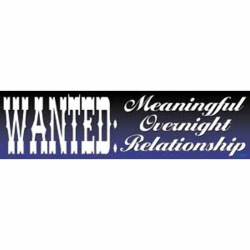 Wanted: Meaningful Overnight Relationship - Vinyl Sticker