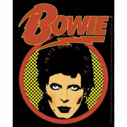David Bowie Closeup & Logo - Vinyl Sticker