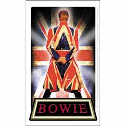 David Bowie Earthling - Vinyl Sticker