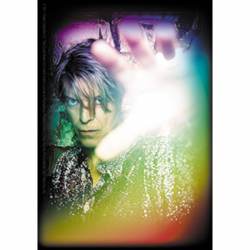 David Bowie Rainbow - Vinyl Sticker