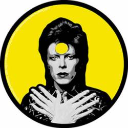 David Bowie Ziggy - Vinyl Sticker