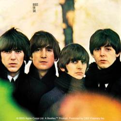 The Beatles For Sale - Vinyl Sticker