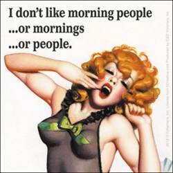 I Don't Like Morning People Or Mornings Or People - Vinyl Sticker