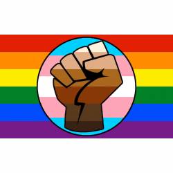 LGBT Gay Trans Pride BLM Fist Flag - Vinyl Sticker