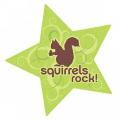 Squirrels Rock - Star Magnet