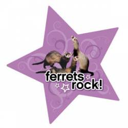 Ferrets Rock - Star Magnet