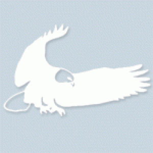 Eagle - Rub On Sticker