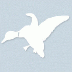 Mallard - Vinyl Transfer Decal