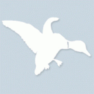Mallard - Vinyl Transfer Decal