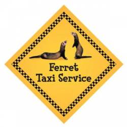 Ferret Taxi Service - Small Yellow Transport Magnet
