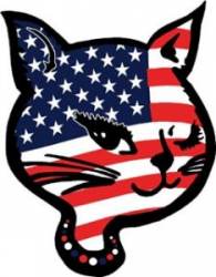 American Flag Cool Cat - Head Magnet