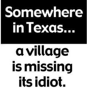 Missing Idiot - Static Cling