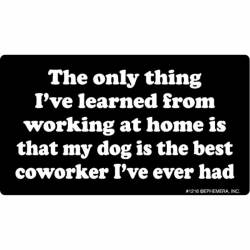 The Only Thing I've Learned From Wokring At Home Is My Dog Is The Best Coworker - Vinyl Sticker