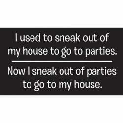 Now I Sneak Out Of Parties To Go To My House - Vinyl Sticker