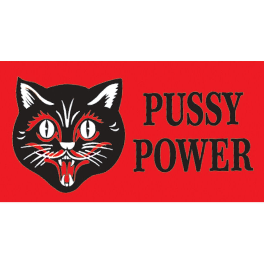Cat Pussy Power Vinyl Sticker At Sticker Shoppe