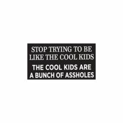 The Cool Kids Are A Bunch Of Assholes - Vinyl Sticker