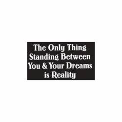 The Only Thing Standing Between You & Your Dreams Is Reality - Vinyl Sticker