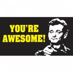 You're Awesome Bill Murray - Sticker