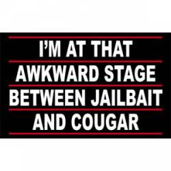Awkward Stage Between Jailbait and Cougar - Sticker