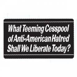 Anti-American Hatred - Sticker