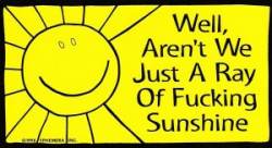 Well Aren't We Just A Ray Of Fucking Sunshine - Sticker