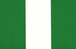 Nigeria Flag - Sticker