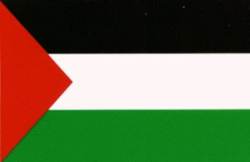 Palestine Flag - Sticker