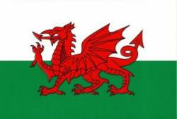Wales Flag - Sticker