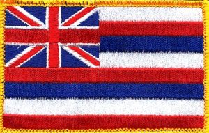 Hawaii State Flag Embroidered Iron On Patch