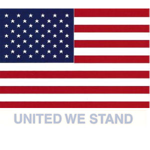 United We Stand - Static Cling