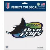 Tampa Bay Devil Rays Retro Cooperstown Logo - 8x8 Full Color Die Cut Decal