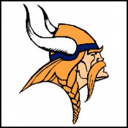 Minnesota Vikings - 3x3 Reflective Decal