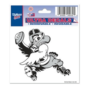 University Of Iowa Hawkeyes Black & White - 3x4 Ultra Decal