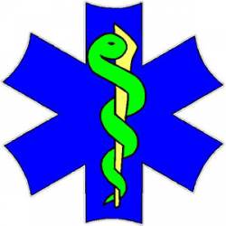 Star Of Life Lime Green - Decal