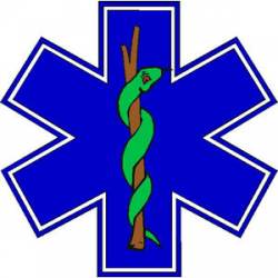 Star of Life - Sticker