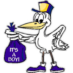 It's A Boy - Mini Decal