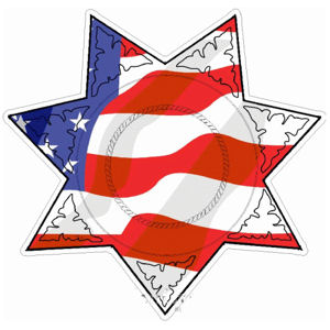 7 Point Star Sheriff American Flag Badge - Decal at Sticker Shoppe