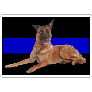 Thin Blue Line Belgian Malinois - Sticker
