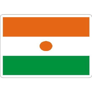 Niger Flag - Rectangle Sticker