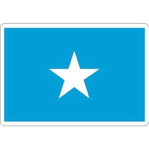 Somalia Flag - Rectangle Sticker