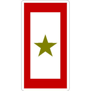 Mother One Star Service Gold Star - Vinyl Sticker at Sticker Shoppe